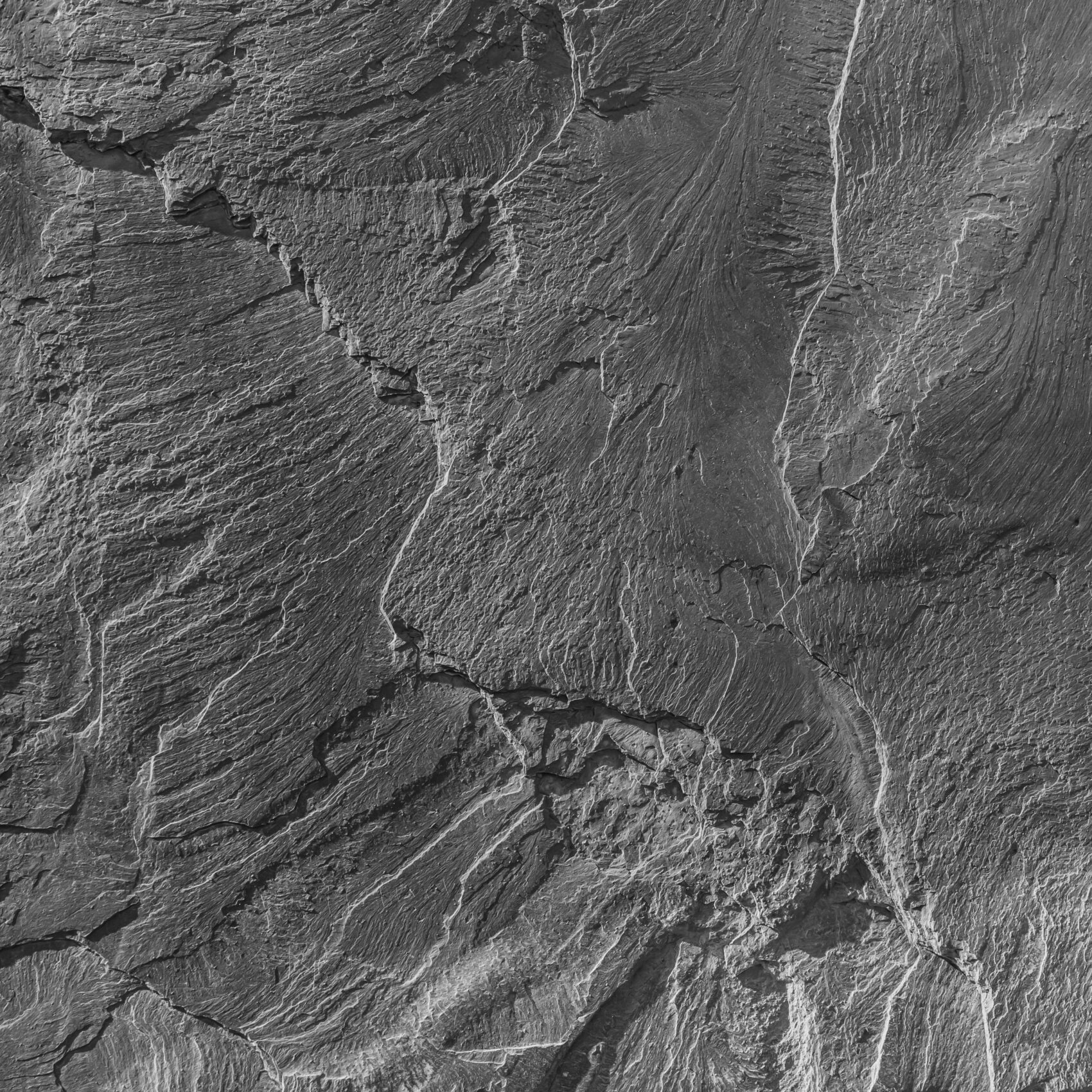Photo of a rock